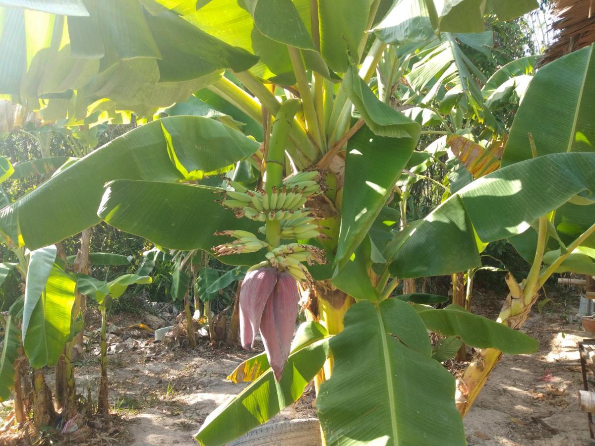 Meechok Organic * Ao Nang