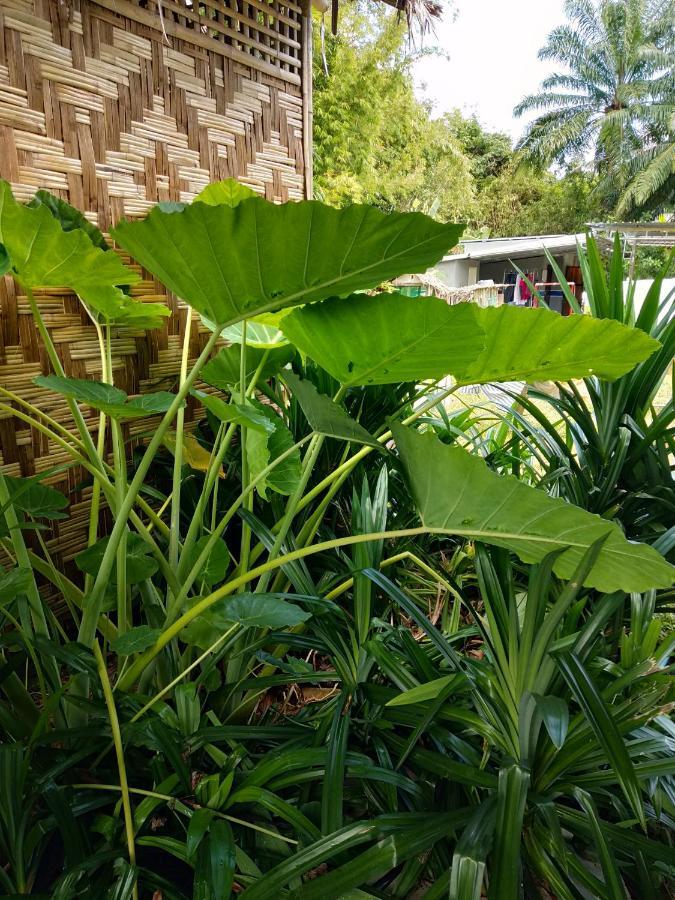 Meechok Organic